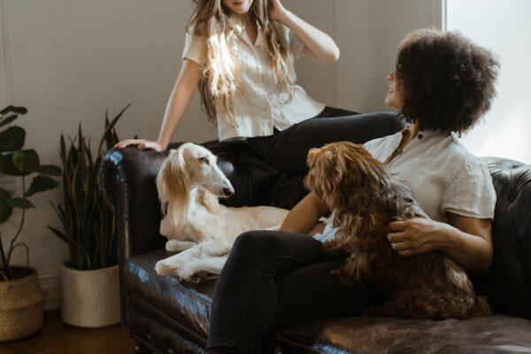 Dog Lymph Nodes: When Swelling Indicates a Health Problem
