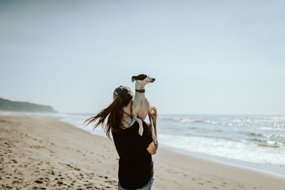 Dog Peeing Blood: Understanding the Causes and What to Do