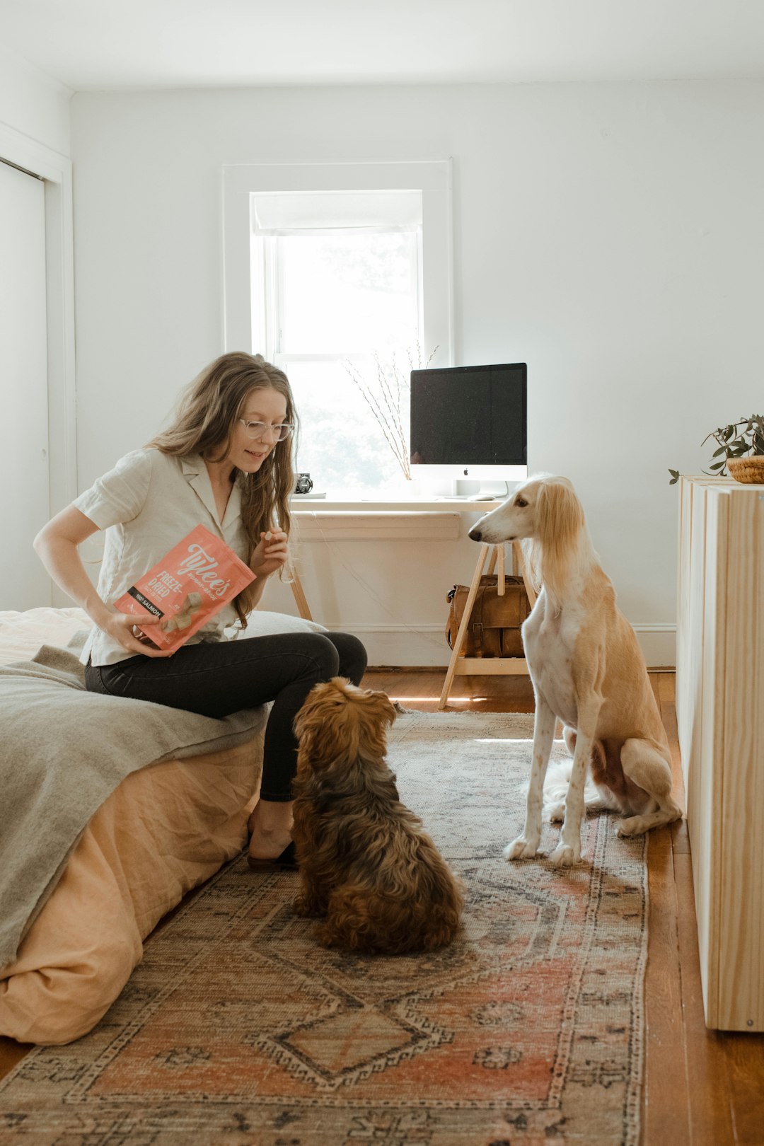 Dog Yeast Infection Home Remedy: Effective Treatments to Try