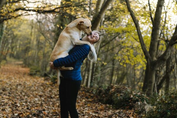 Science Diet Dog Food: Pros and Cons for Your Canine Companion Science Diet Dog Food: Pros and Cons for Your Canine Companion