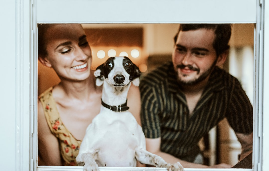 Why Are My Dog's Eyes Red Why Are My Dog's Eyes Red