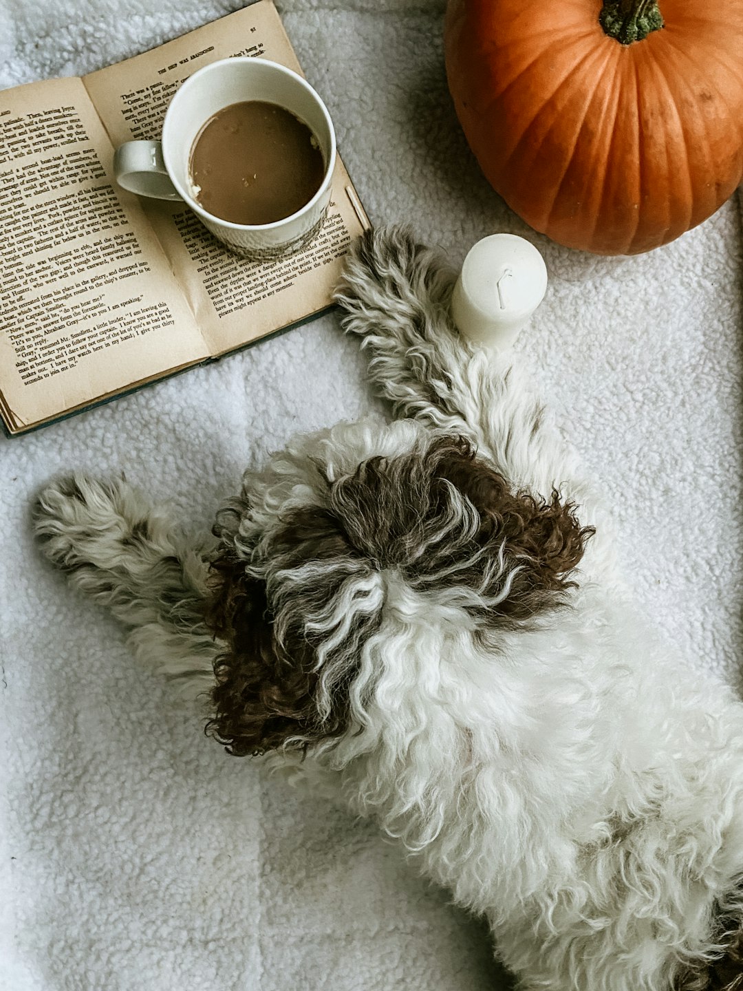 Liver Treats for Dogs: Tasty Snacks Packed with Nutritional Value